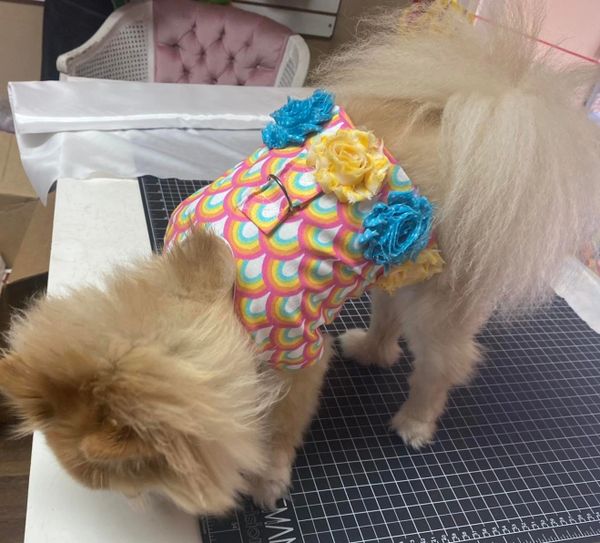 The Posh Pet Boutique Dog Clothes, Dog Boutique